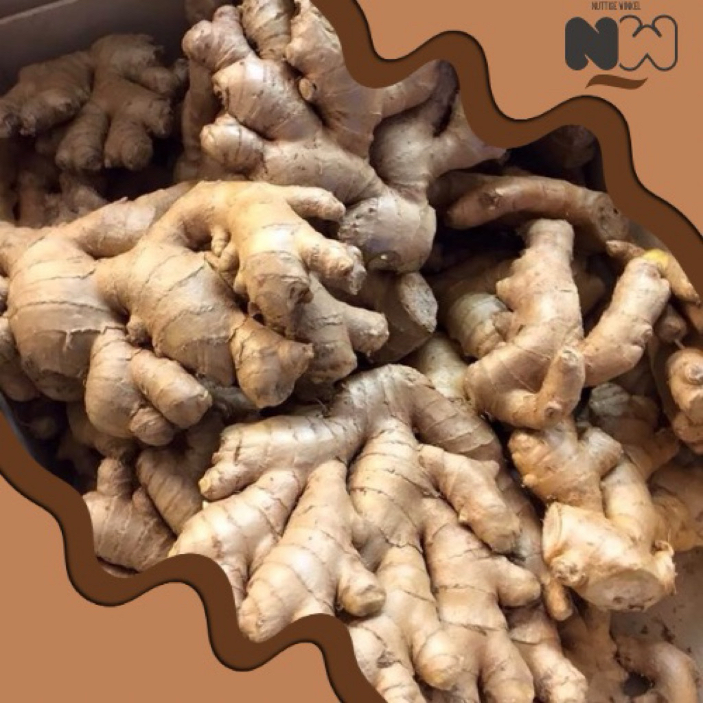 

Jahe Gajah — Rempah Aromatik Serbaguna, Ukuran Besar & Rasa Lembut