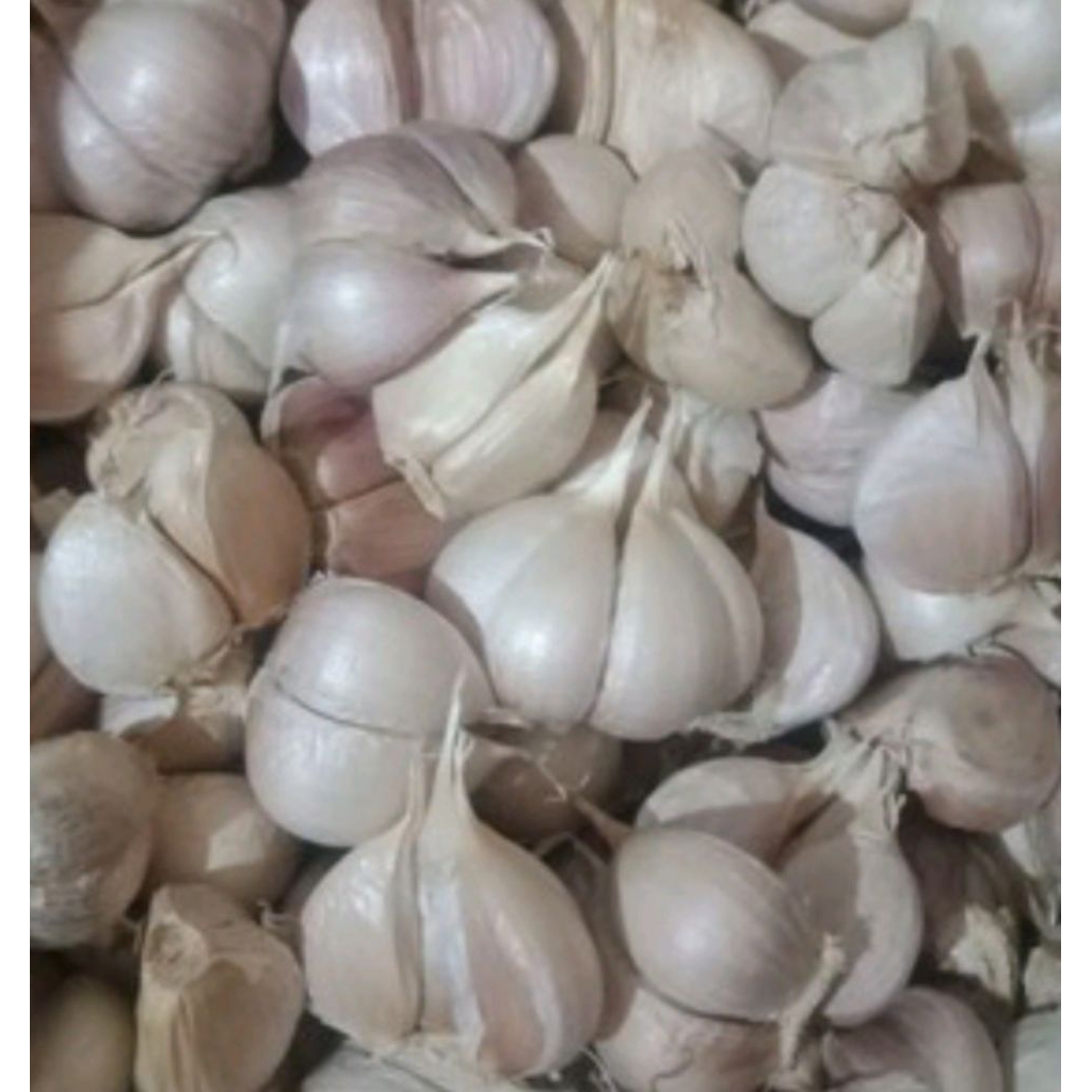 

BAWANG PUTIH KATING BERSIH ¼kg/½kg/1kg