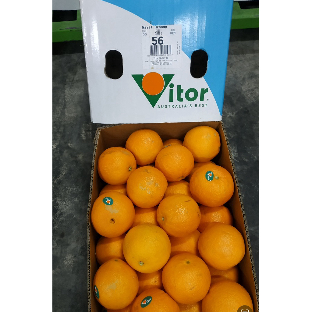 

s u n k i s t orange navel jeruk