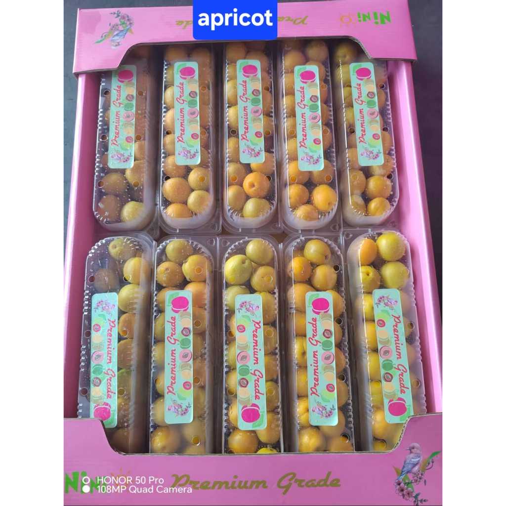 

Buah Apricot RRC 1 Dus (10 Pack) Fresh Import