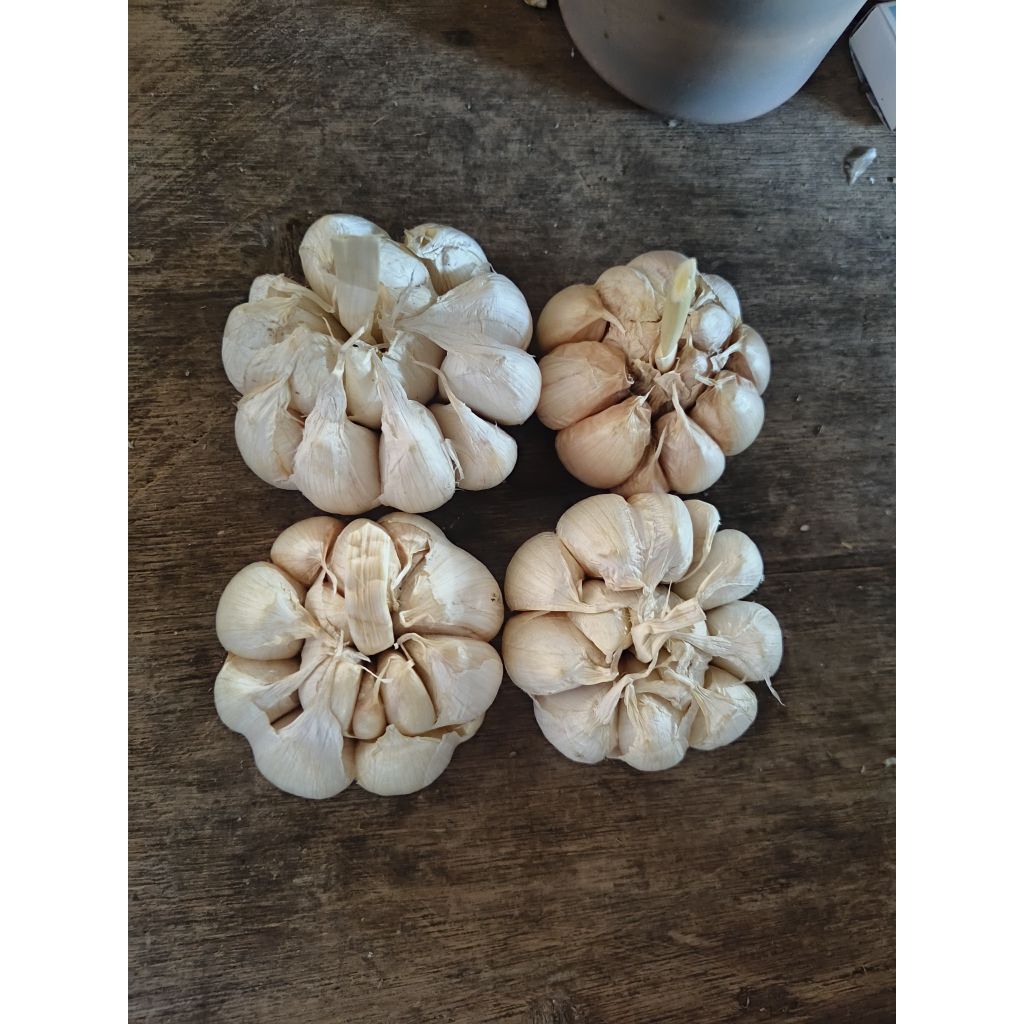 

Bawang Putih Honan Bersih 1kg