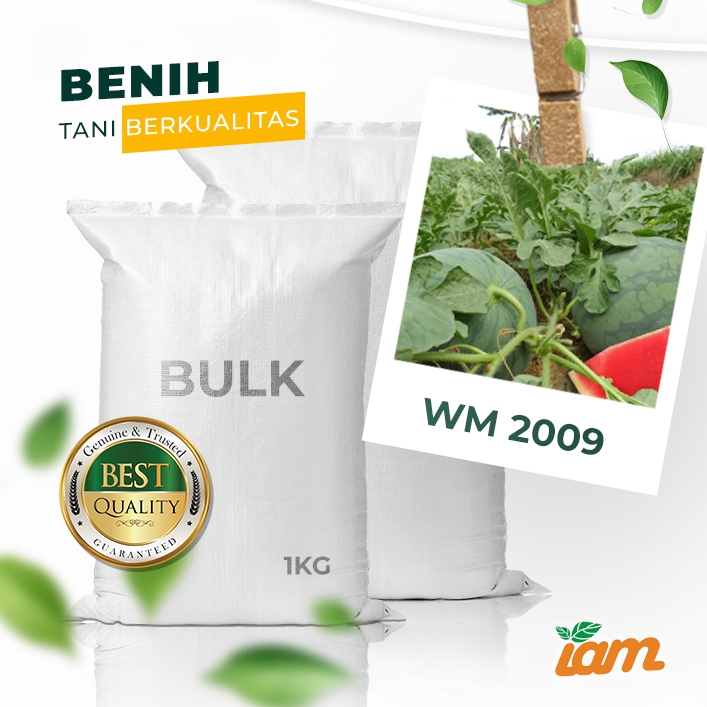 

BULK 1kg – semangka F1 (WM 2009)
