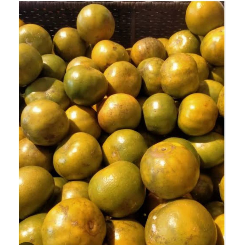 

jeruk siam madu manis 1kg