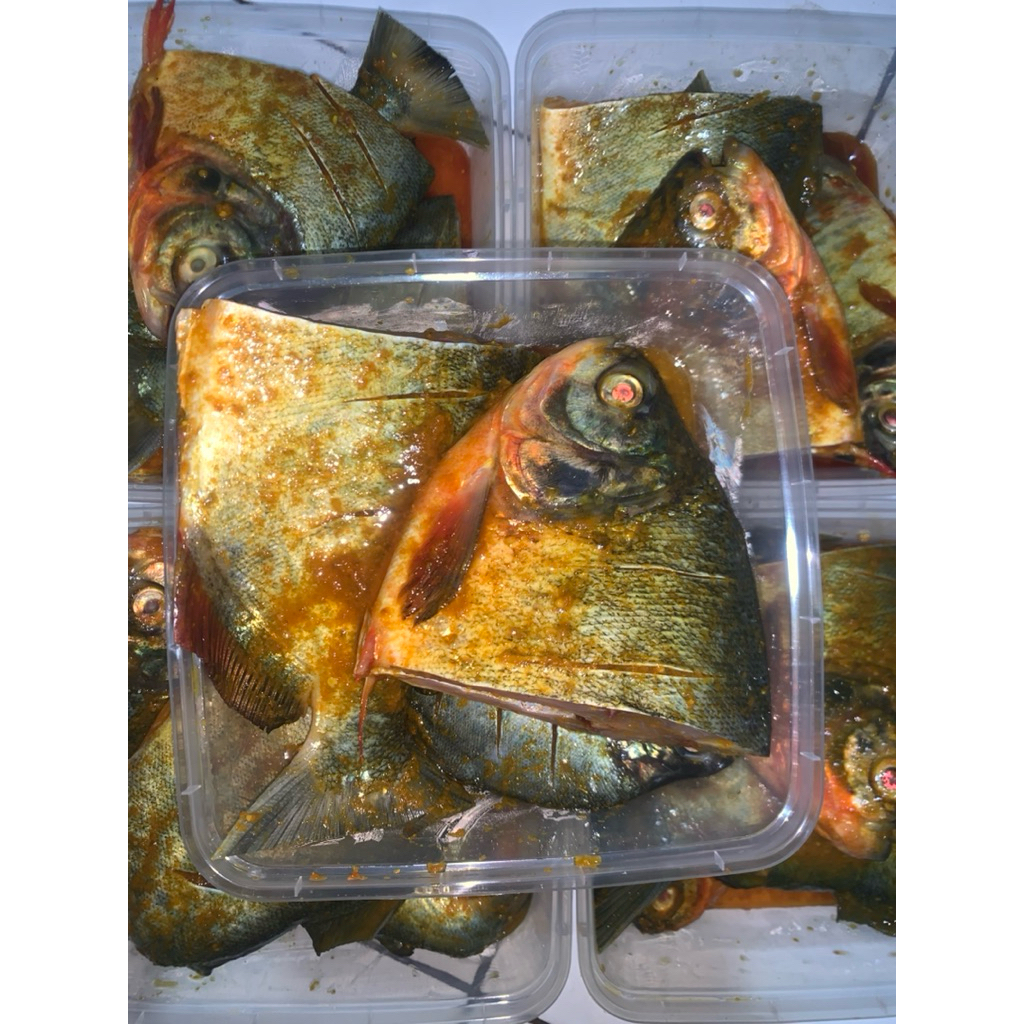 

Ikan Bawal Bumbu Kuning 1/2kg / 450gr-500gr Frozen Food Ikan Bawal Marinasi siap masak goreng Murah