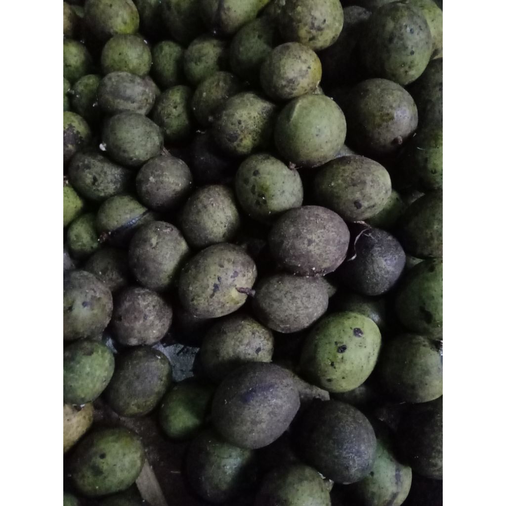 

buah limus mentah,pull tua.mateng,dan muda. 1 kg