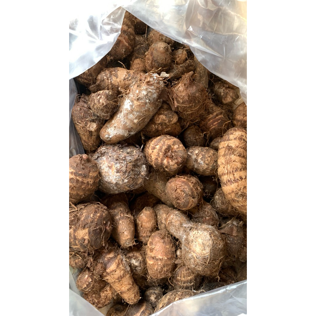 

TALAS UBI LOKAL LANGKA KHAS INDONESIA