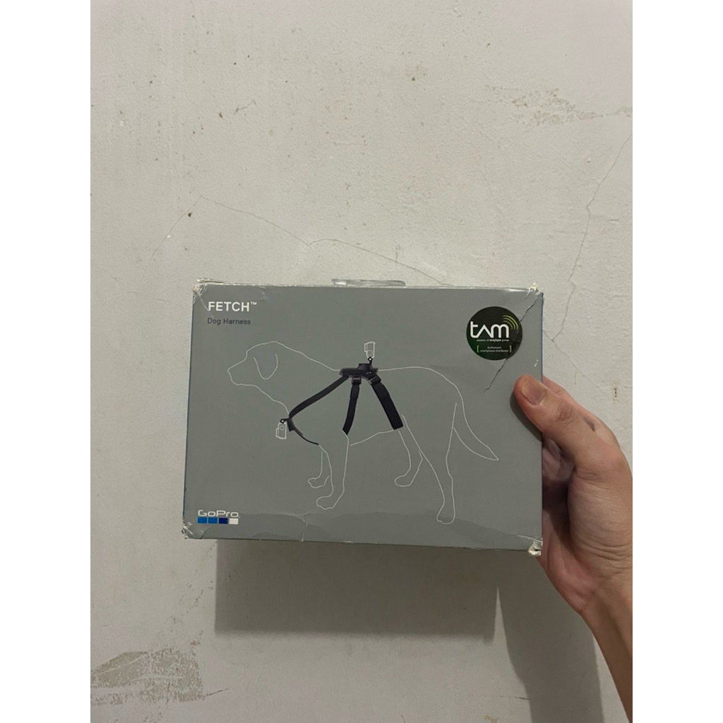 GoPro Fetch Original