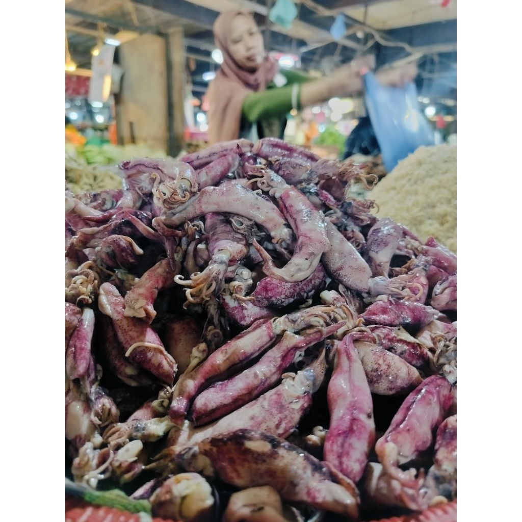 

CUMI ASIN//SOTONG//SUPER