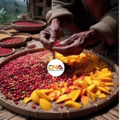 

Kopi 500g Fermentasi Buah Buahan - Infuse - Green Bean - Arabika