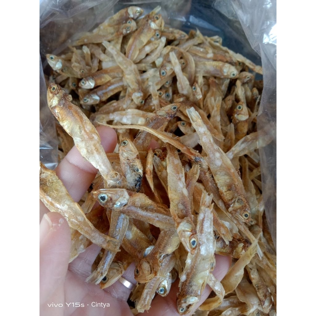 

Teri Ceplis kualitas premium kemasan standing pouch