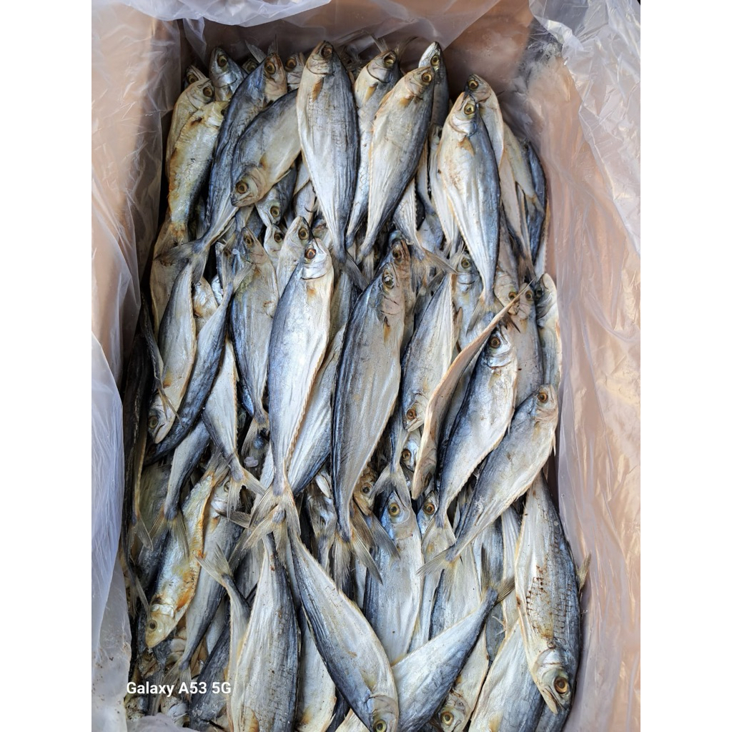 

Ikan asin wais/ talang-talang