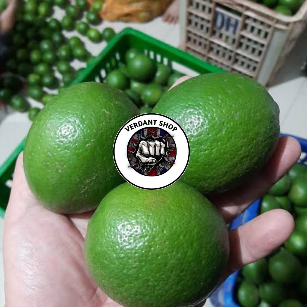 

jeruk lemon California fress per butir/biji