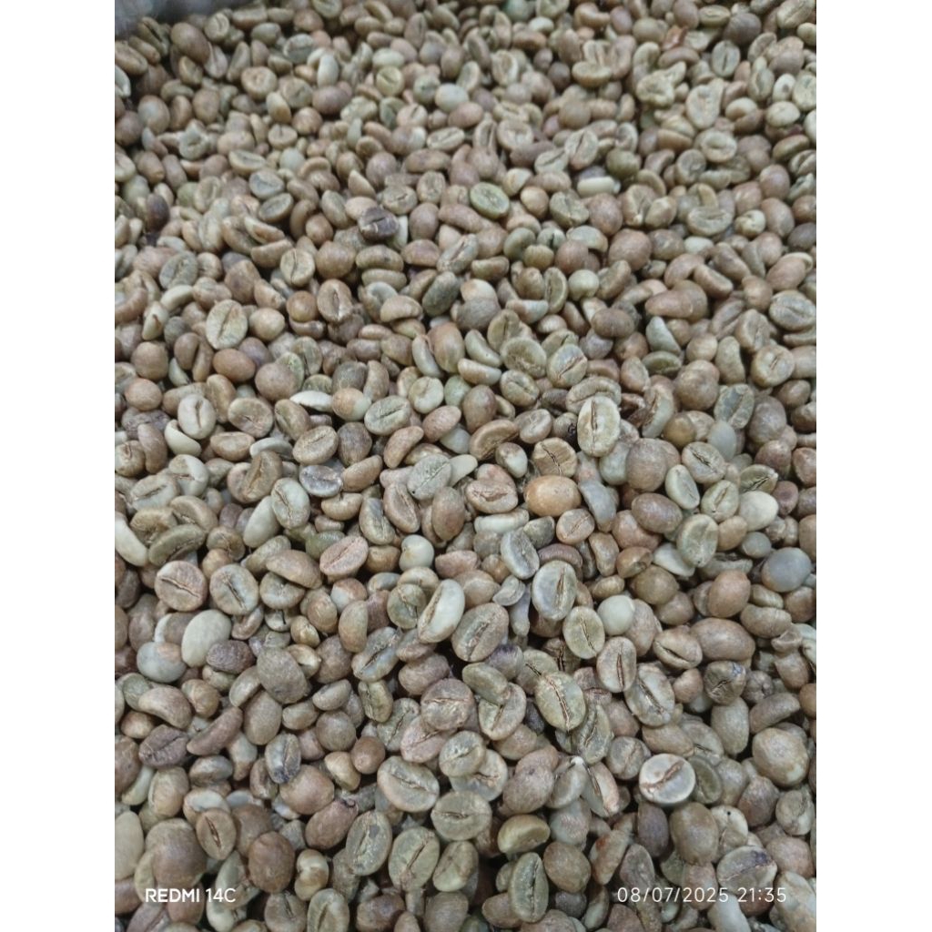 

Kopi Robusta Natural Grade A