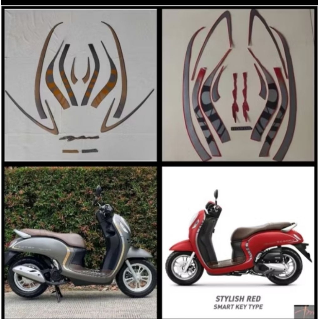 list body set striping Scoopy stylish 2021