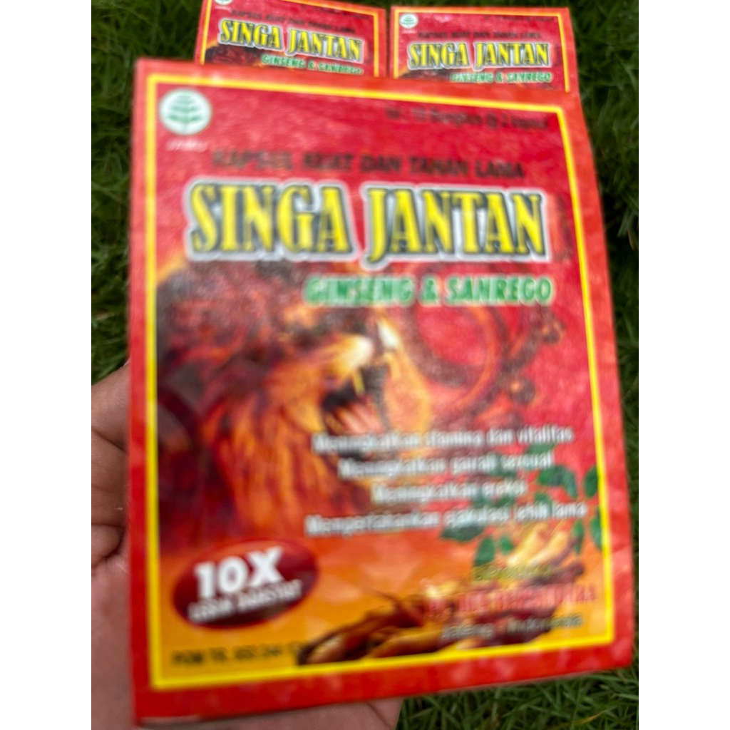 SINGA JANTAN-ORIGINAL