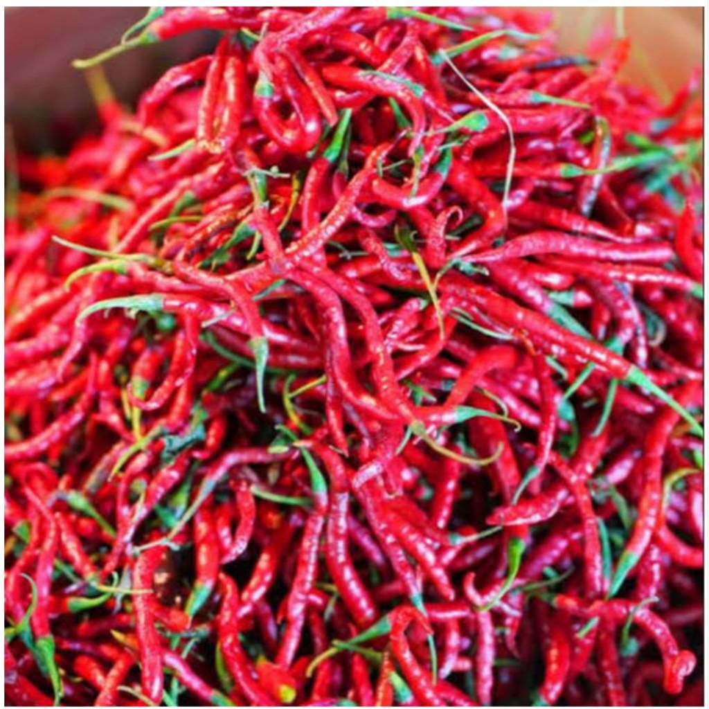 

[1KG = 1000 GRAM / 1 Kilogram] Cabai Merah Cabe Panjang Lombok Keriting 1 kg