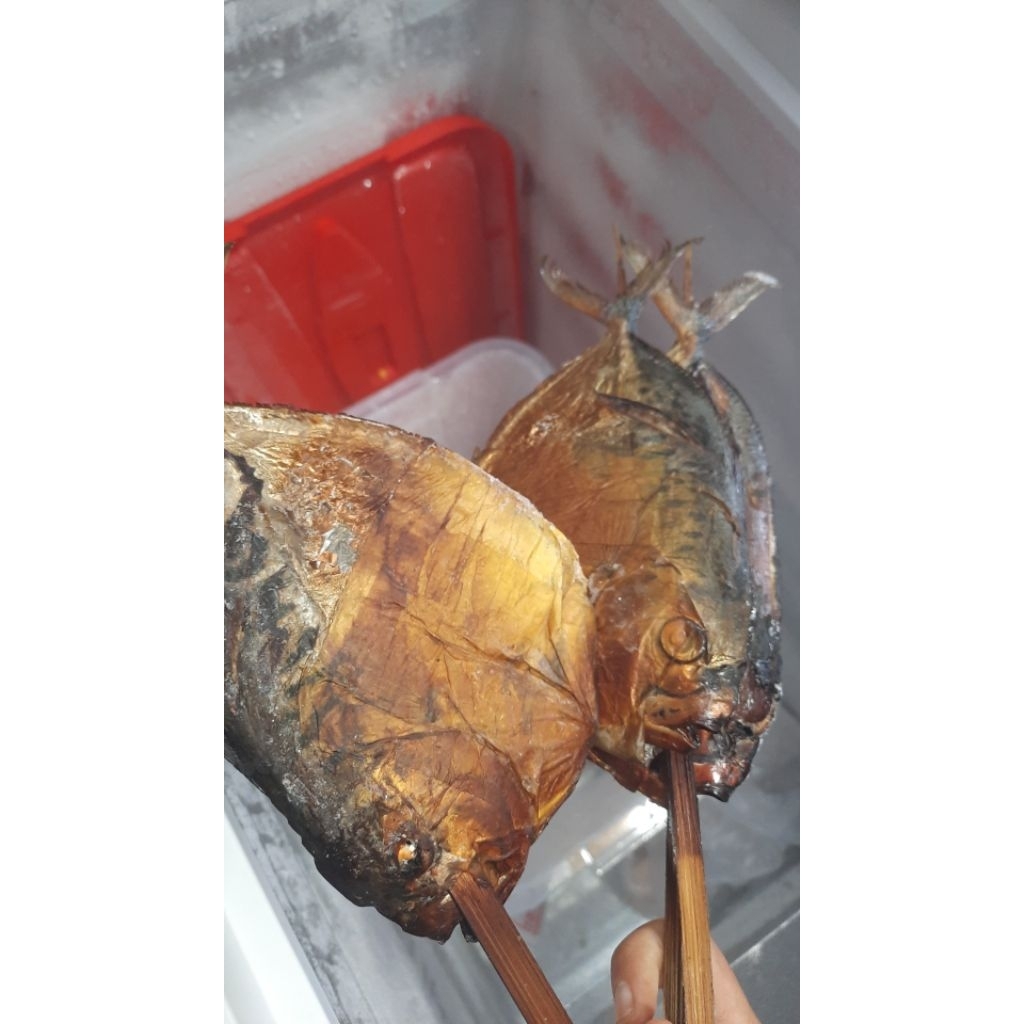 

ikan bagong asap. sedang