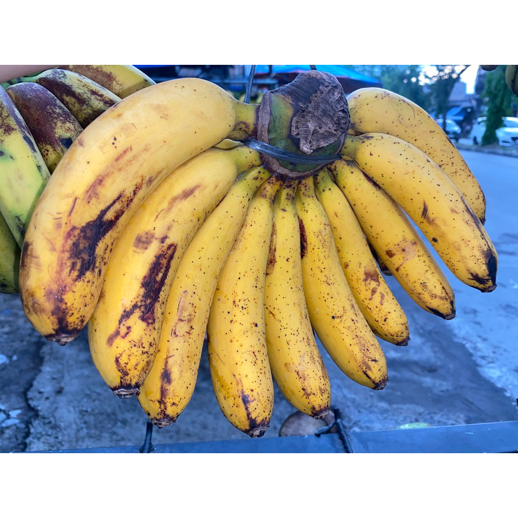 

pisang barangan sedang