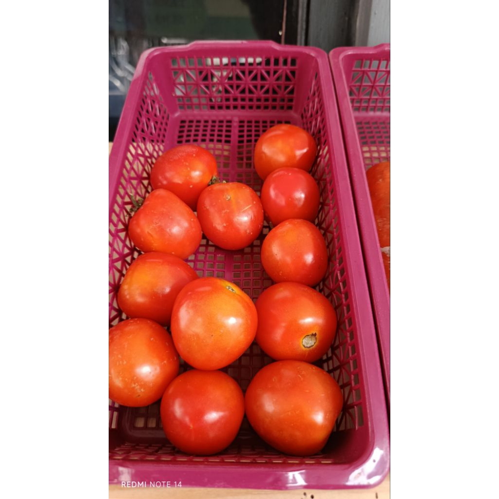 

Tomat 250 gr - instan surabaya