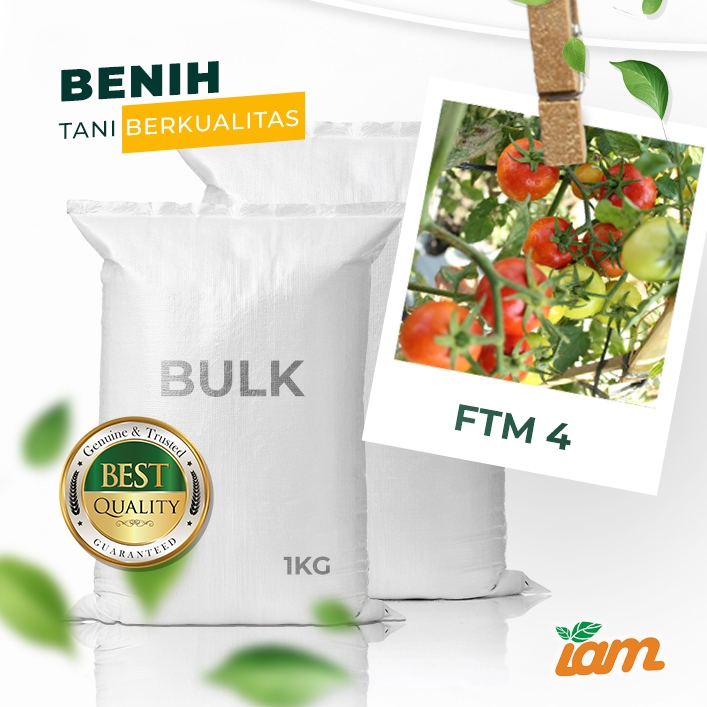 

BULK 1kg – tomat l F1 (FTM 4)