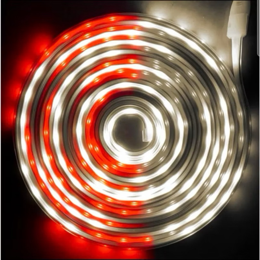 LAMPU MERAH PUTIH SELANG LED STRIP 7 M + SOCKET LAMPU HIAS AGUSTUSAN