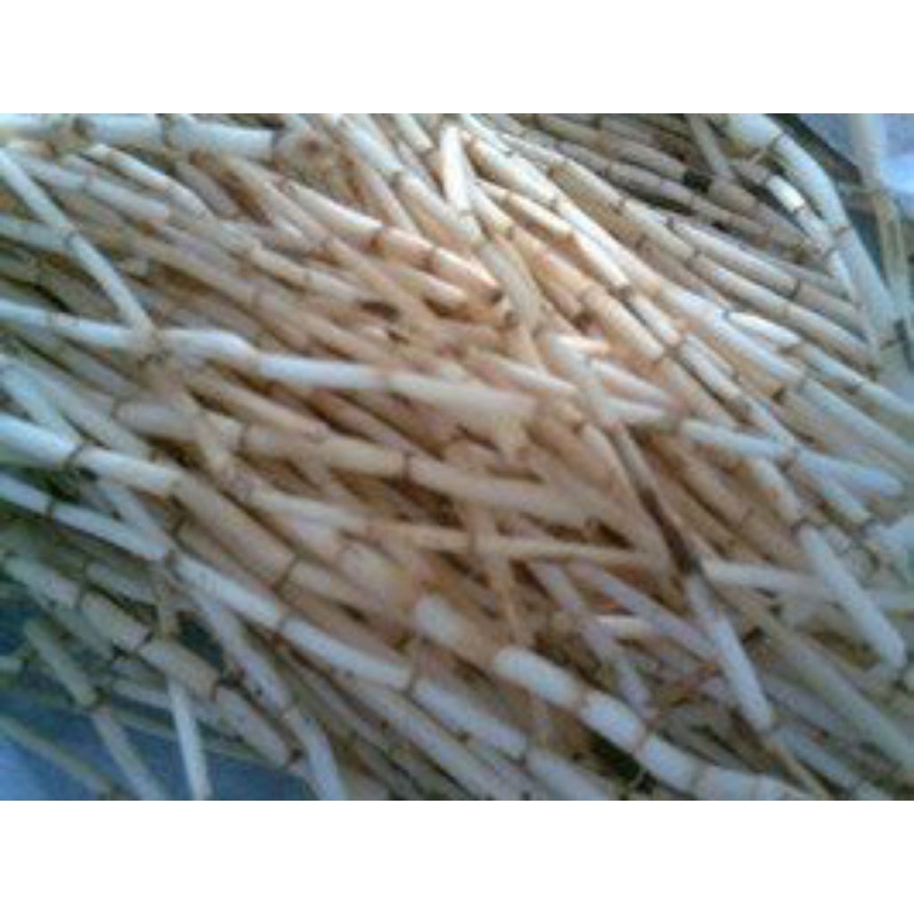 

akar alang-alang fresh 250 gram