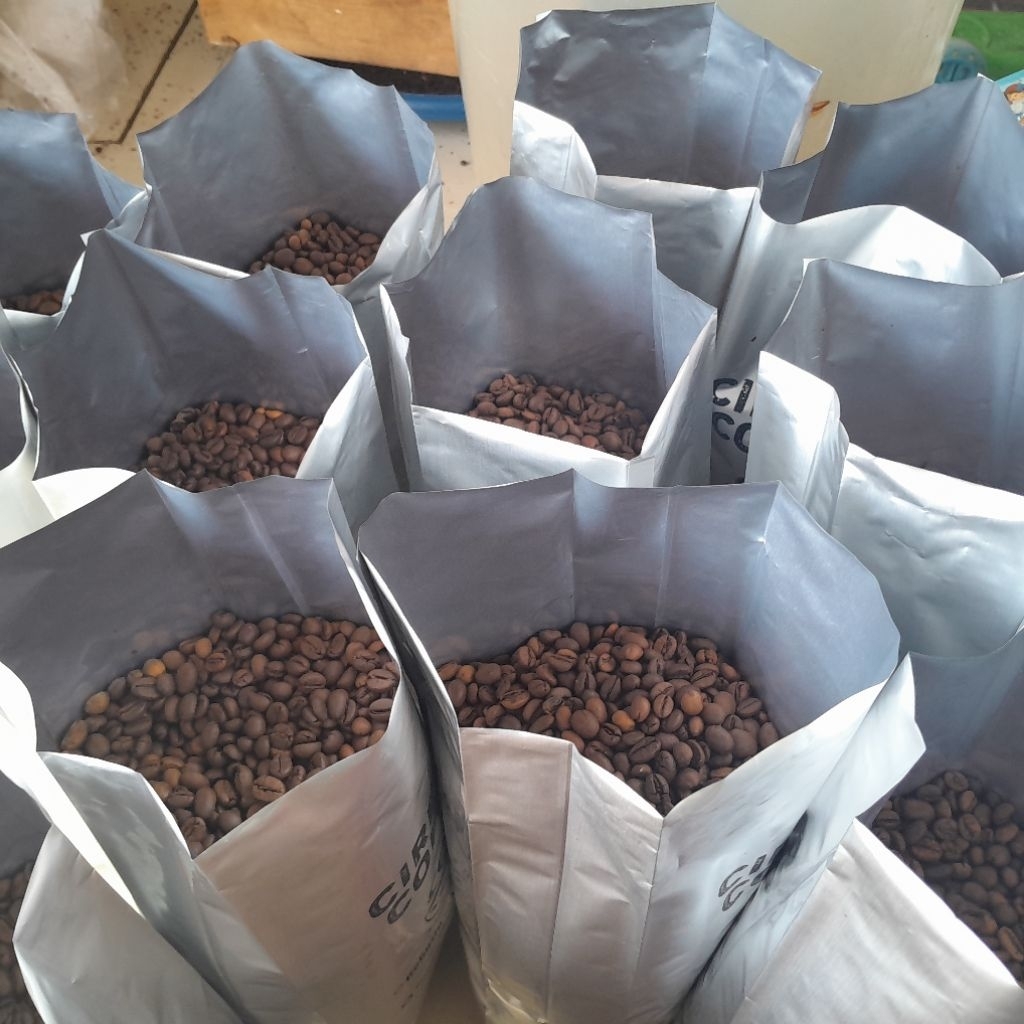 

kopi robusta roasting medium
