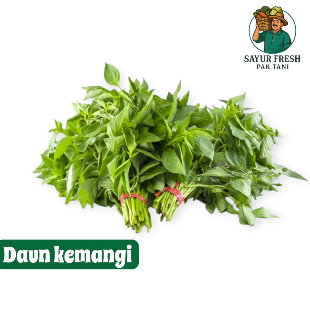 

daun kemangi segar