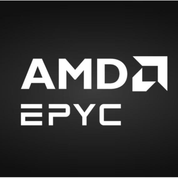 Processor AMD EPYC 4124P - AMD EPYC 4004 socket AM5 - Processor Server AMD 4124P