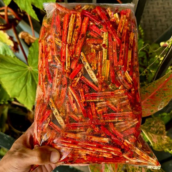 

SEBLAK KERING BETON PEDAS DAUN JERUK 500GR BANDUNG SNACK MAMIN