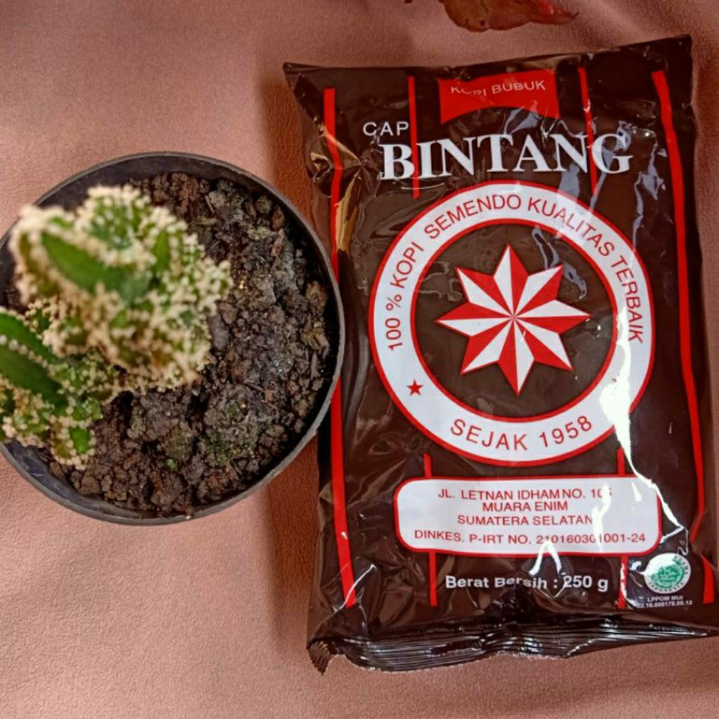 

Paket Kopi Bubuk Cap Bintang Asli Semendo Kemasan 250 Gram Plus Kopi Bubuk Cap Kapal Api Kemasan 250 Gram