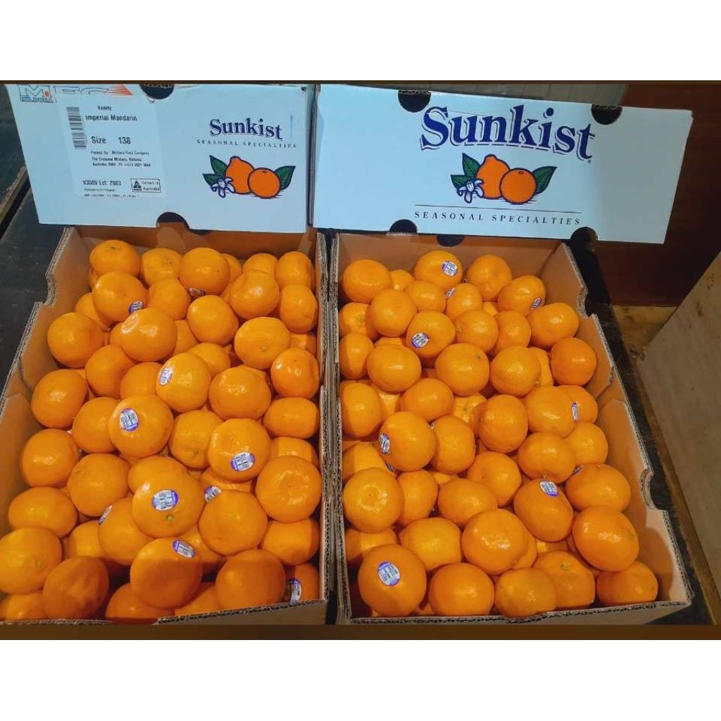 

jeruk navel late lane USA sankist fancy