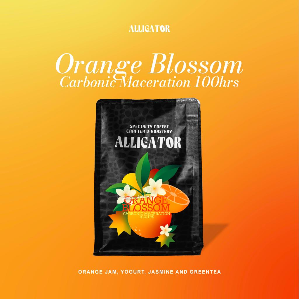 

Sumatran Avatara Orange Blossom | Kopi Floral & Fruity dari Aceh Gayo dengan Proses C/M 100 Jam / Alligator Roastery