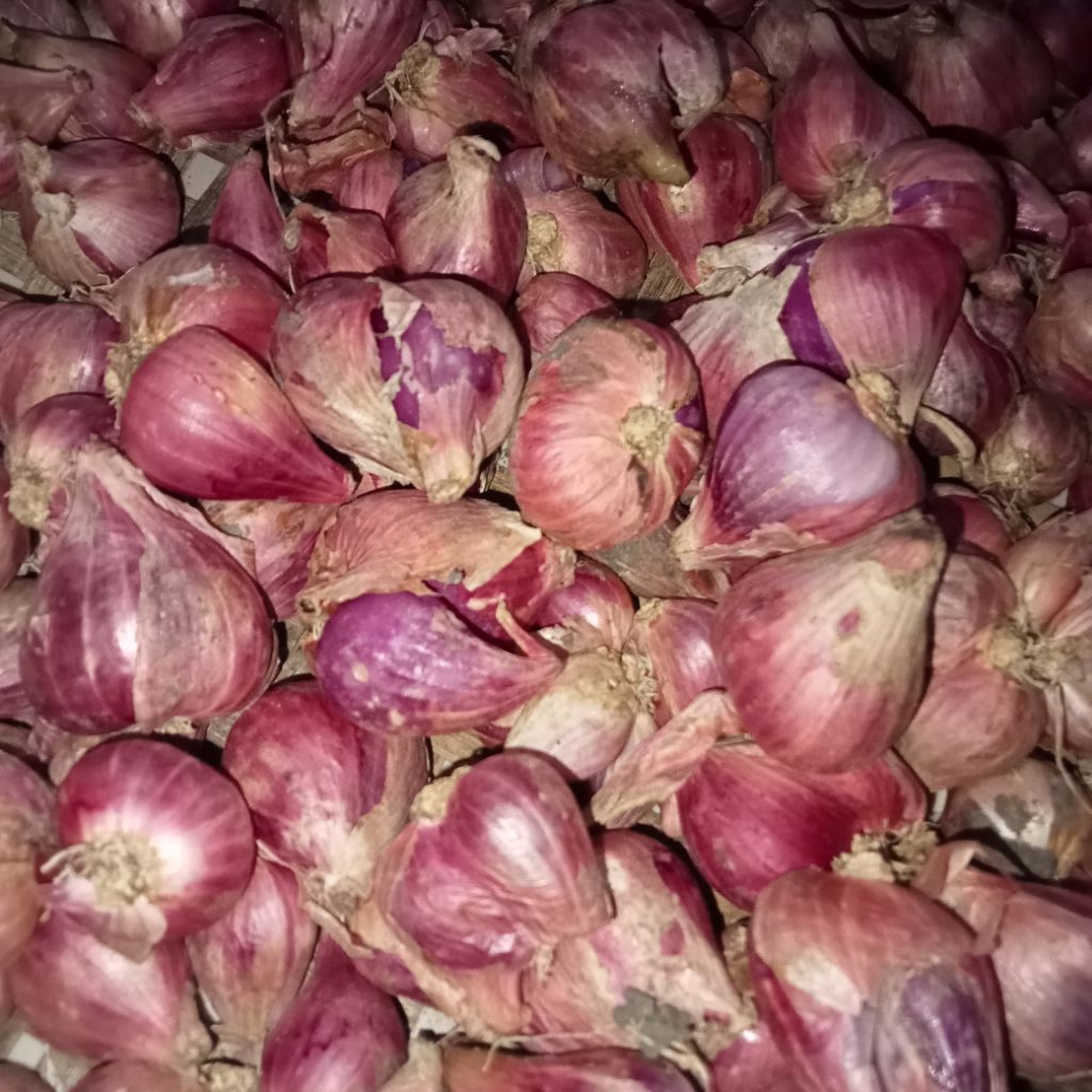 

BAWANG MERAH NGANJUK 1KG