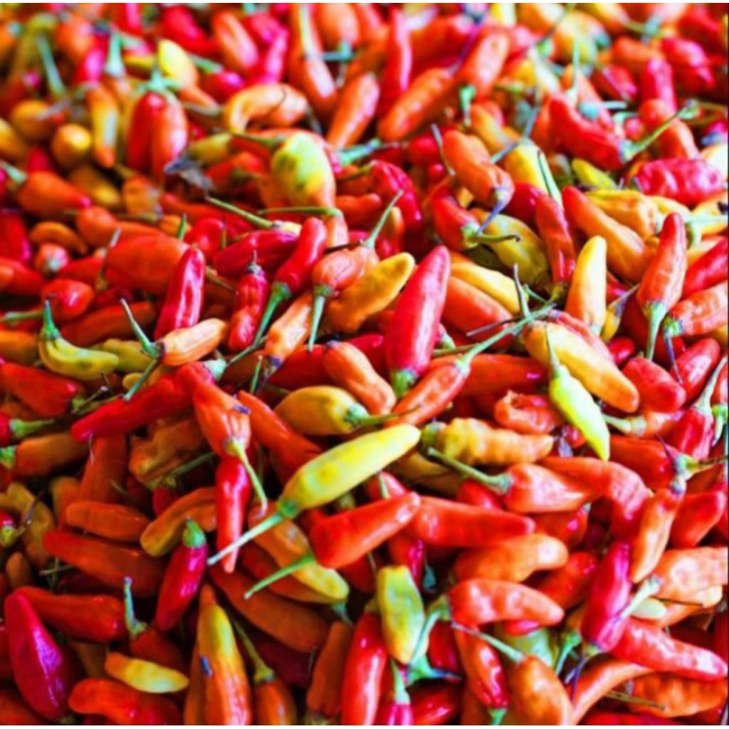 

cabe rawit merah 1kg