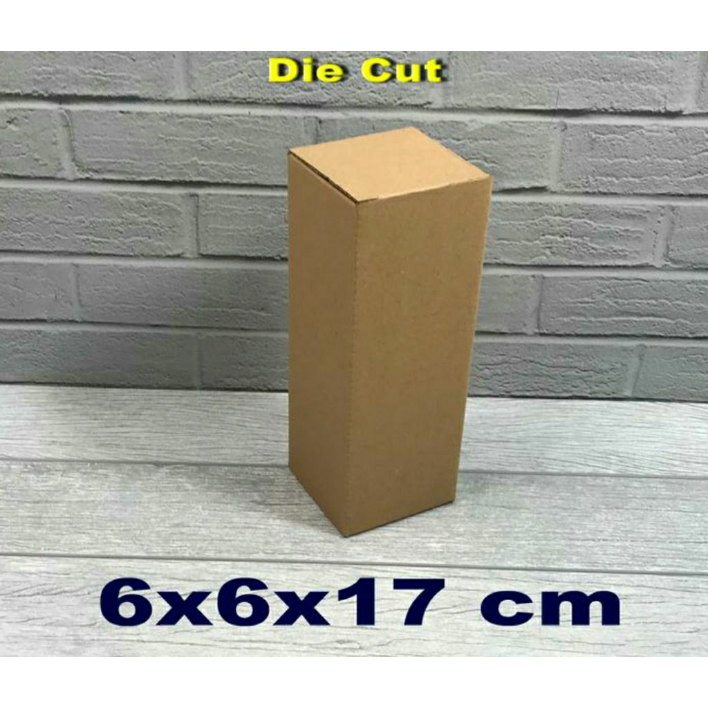

kardus botol 6x6x17