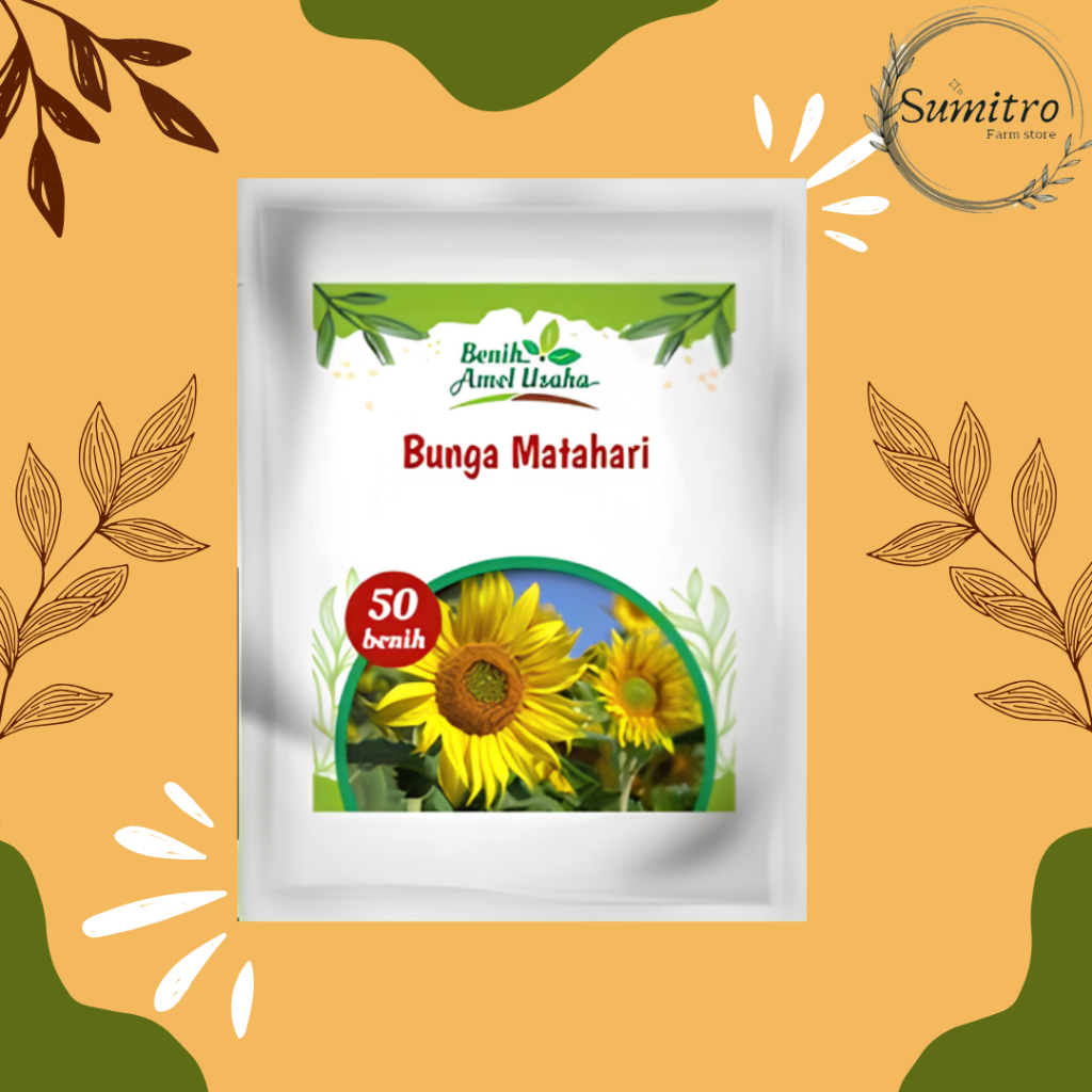 benih bunga matahari jumbo/bibit benih bunga matahari super isi 50 benih/bibit matahari cepat tumbuh