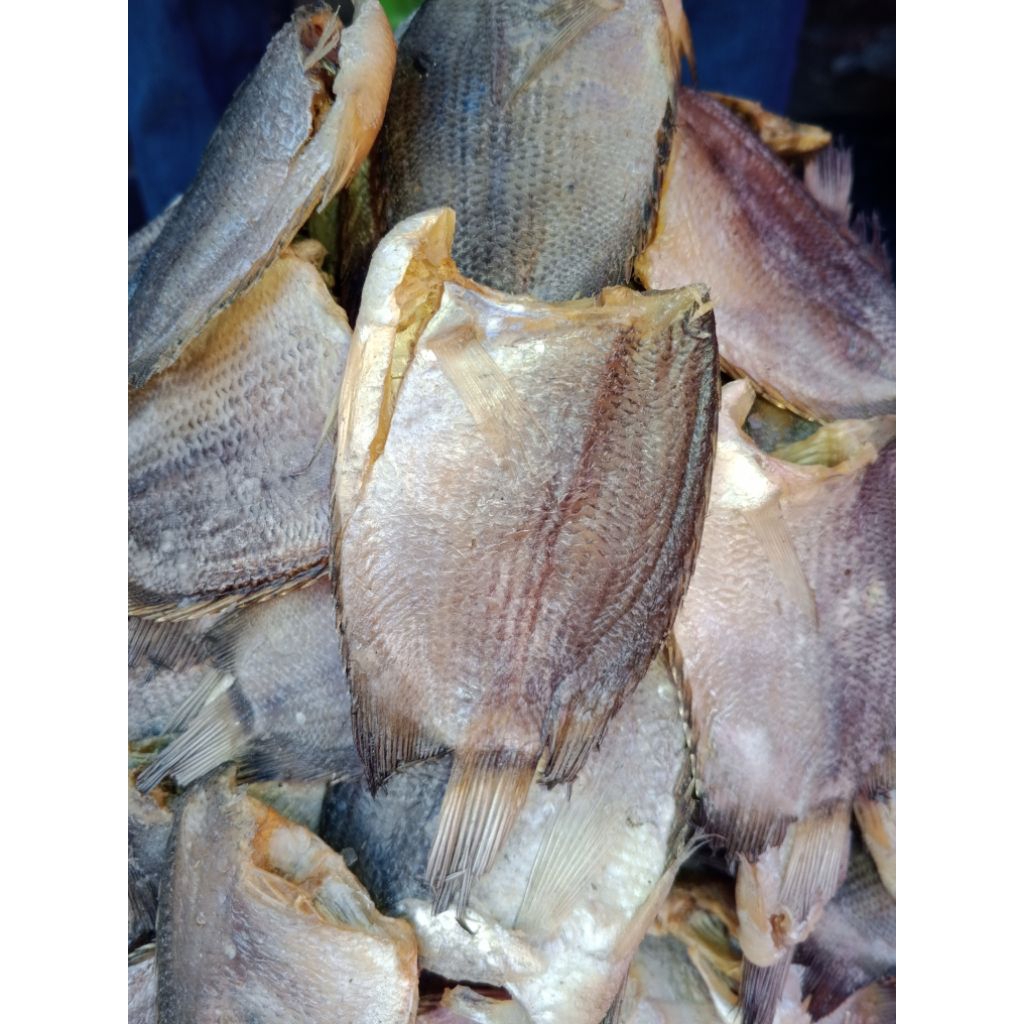 

ikan asin tembakang baru kering