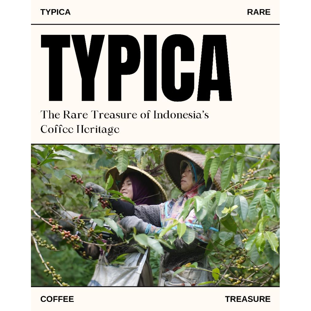

Spesial Kopi EURLANOR TYPICA