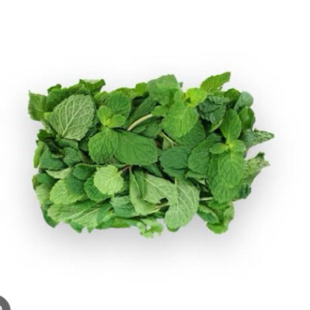 

Daun mint per pack
