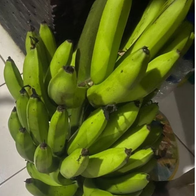 

Buah Pisang Mentah MAL PUT Pisang Bangkaulu