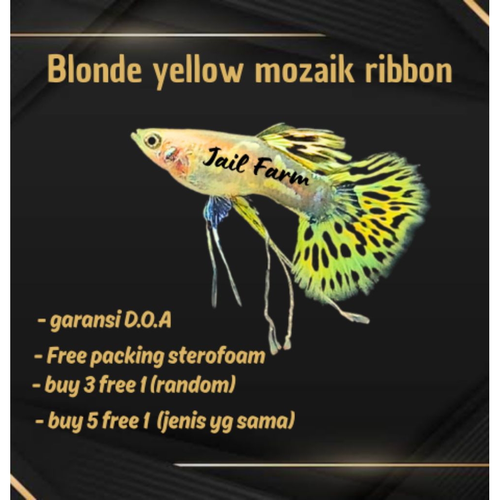 

FREE XTRA PACKING - BLONDE YELLOW MOZAIK RIBON