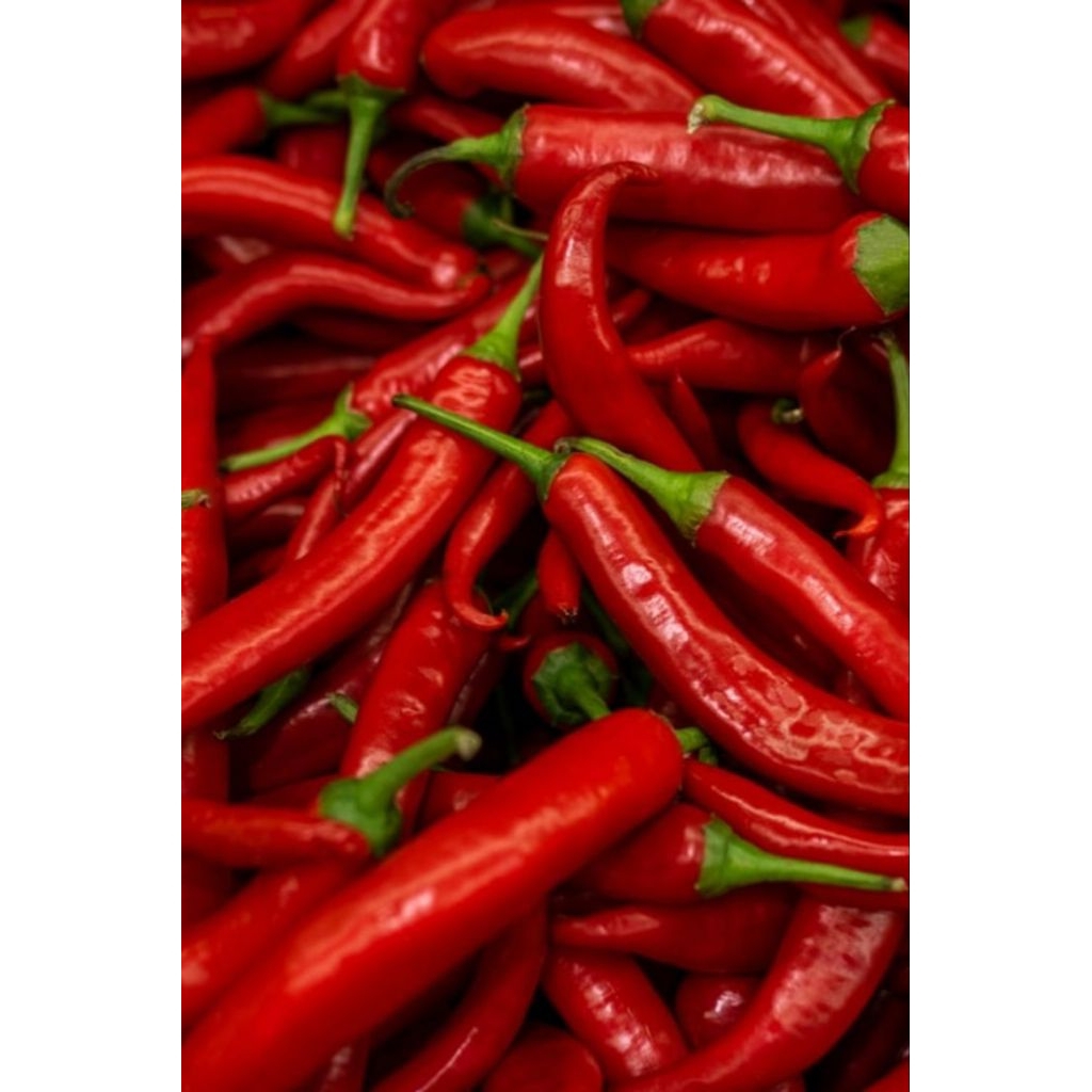 

cabai merah
