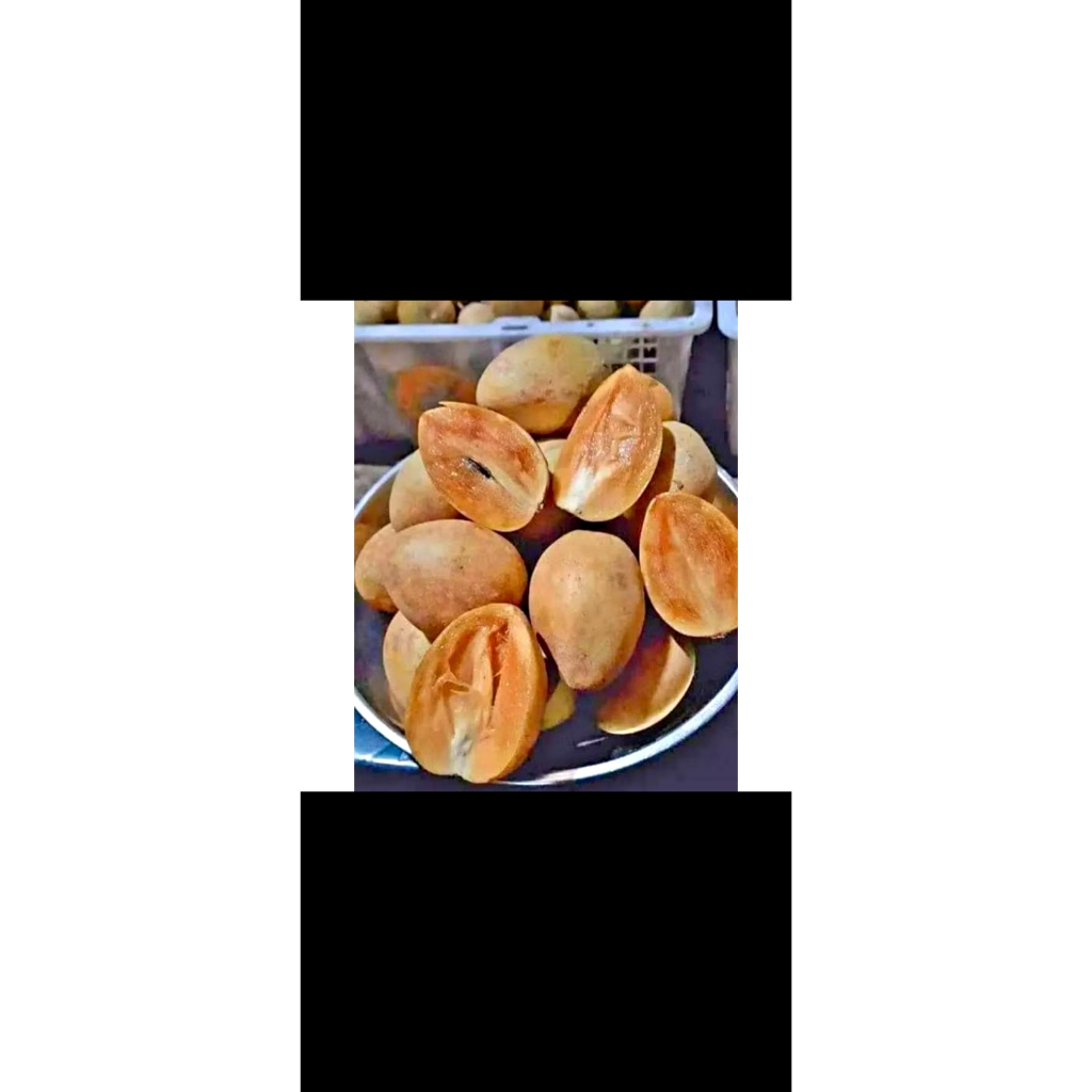 

Sawo madu 500g