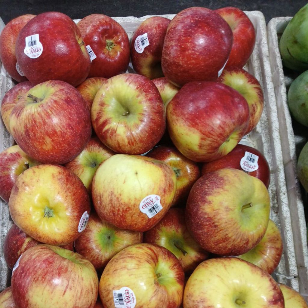 

Apple envy USA 1 kg