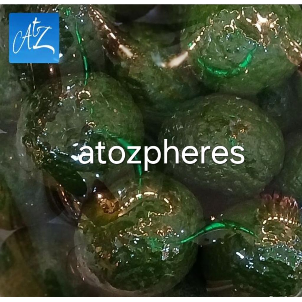 

Buah jeruk limau segar pilihan fresh 250g