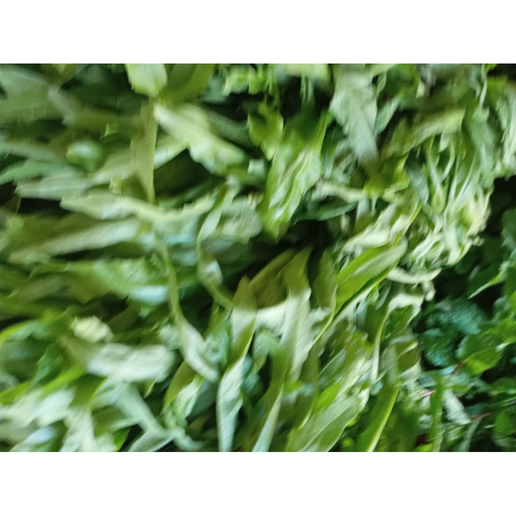 

SAYUR SIOMAK SEGAR Perikat