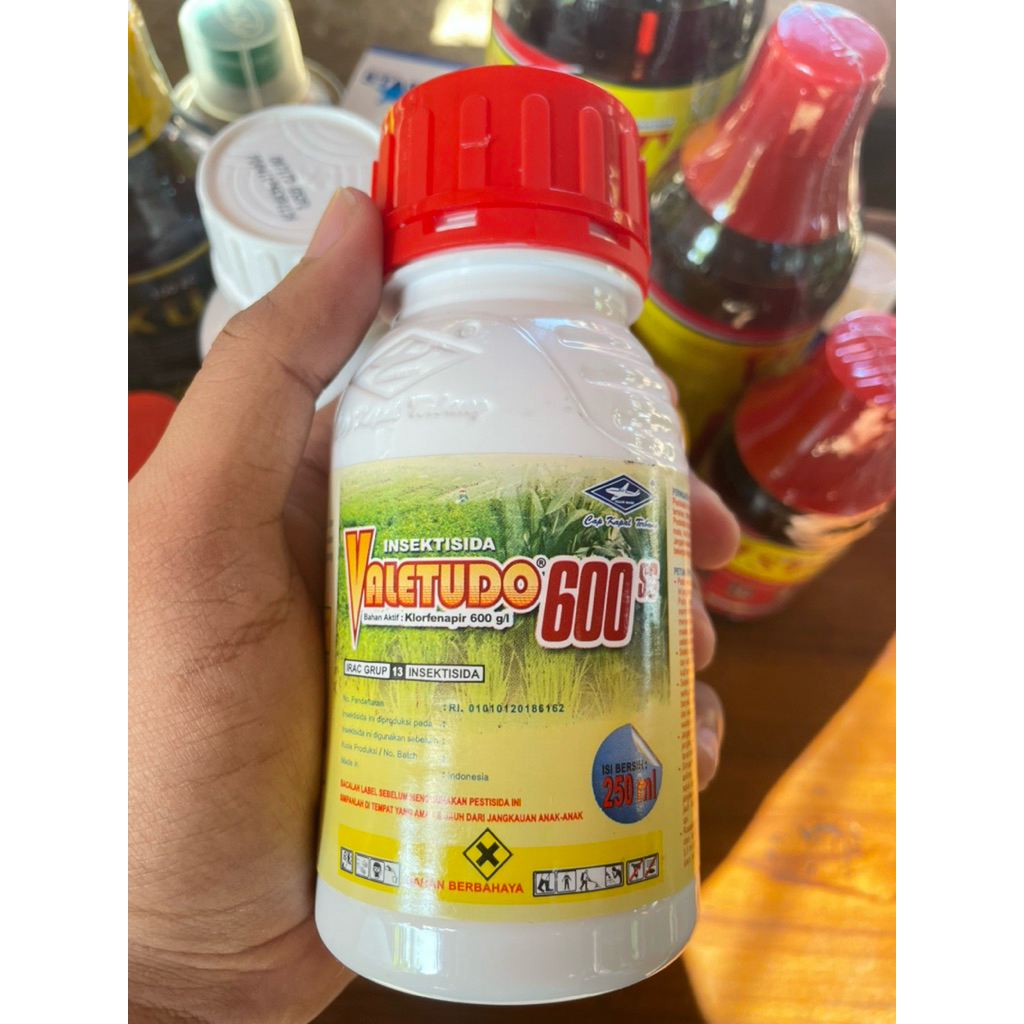 Insektisida Valetudo 600 SC 250 ML