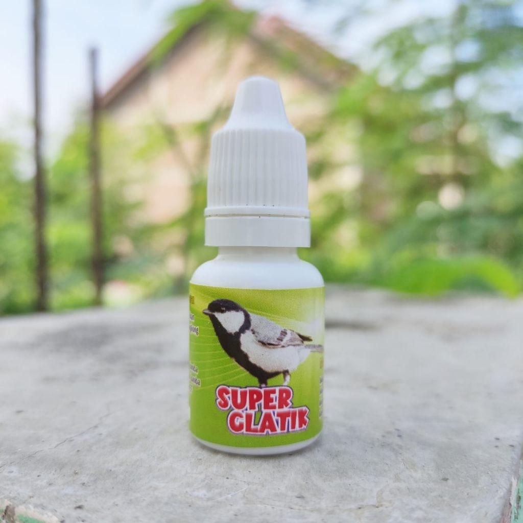 penggacor seketika glatik  . super glatik penggacor burung glatik bahan dan macetan, penggacor burun
