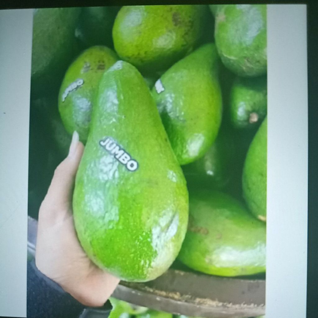 

alpukat mentega super jumbo fresh 1.3kg